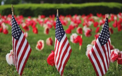 three US flags and red poppies on green grass