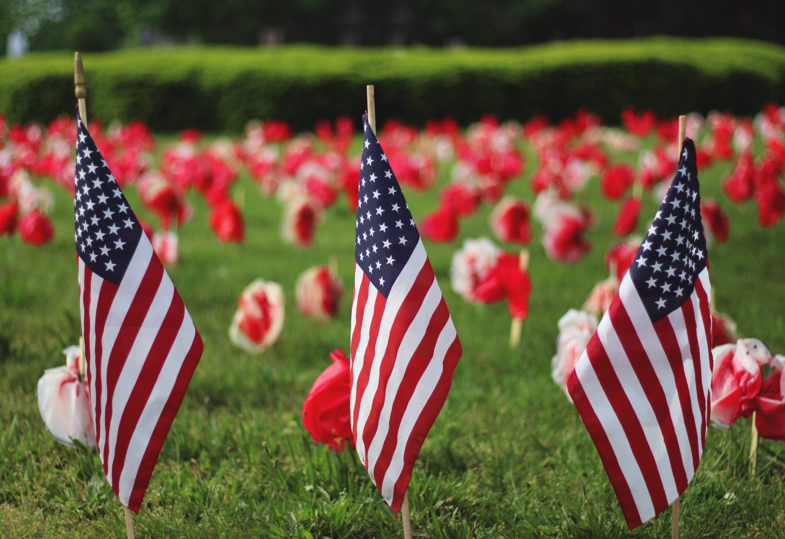three US flags and red poppies on green grass